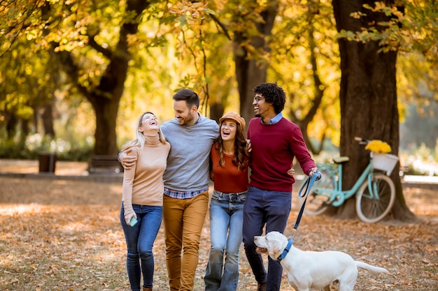 Multiracial young people walking in the autumn park and having fun