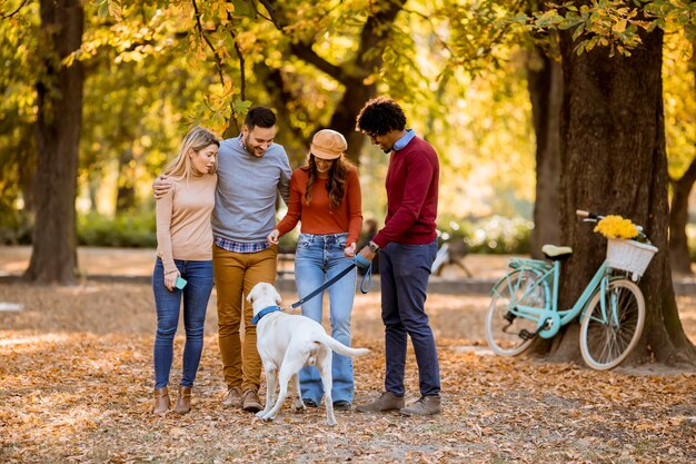 Multiraciale jongeren wandelen in het najaar park en plezier maken