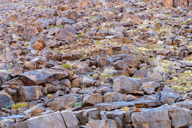 multitude of variegated coloured stones