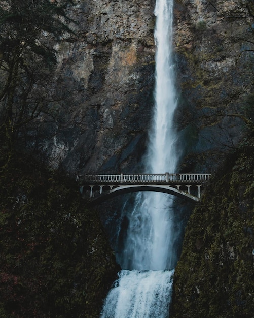 Photo multnomah falls oregon