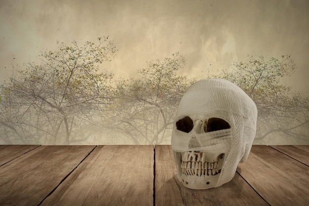 Mummy with skull head on wooden table