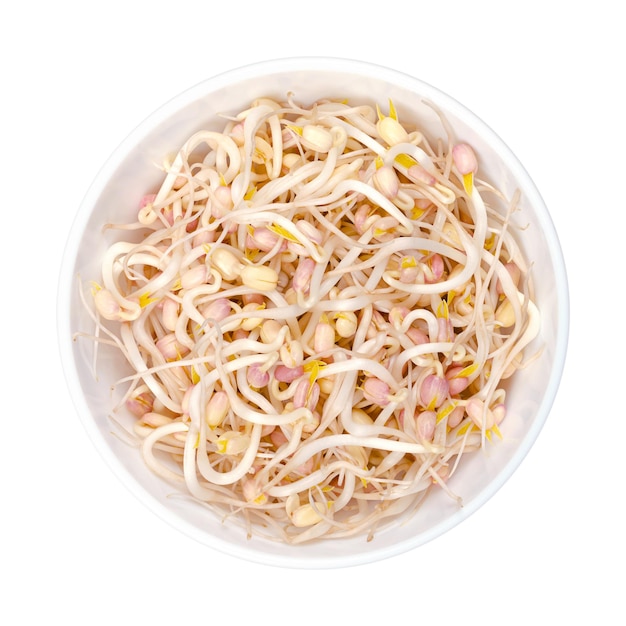 Mung bean sprouts in white bowl