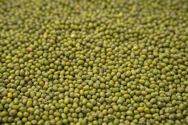 mung bean