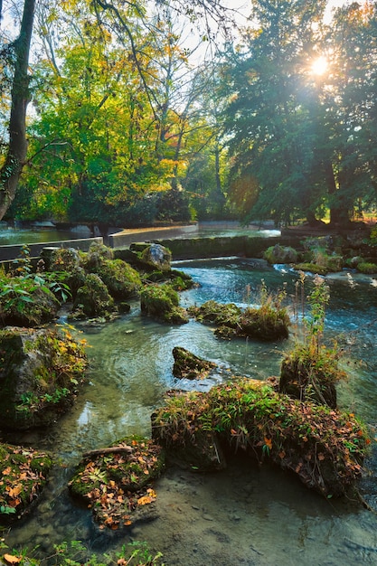 Munich english garden englischer garten park in autumn munchen bavaria germany