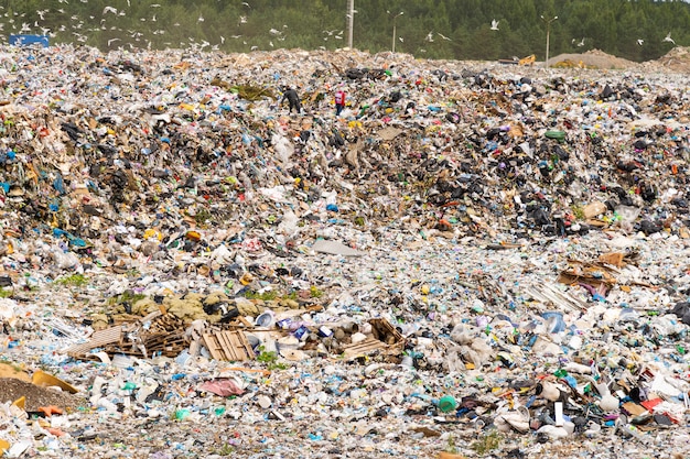 Municipal landfill for domestic waste