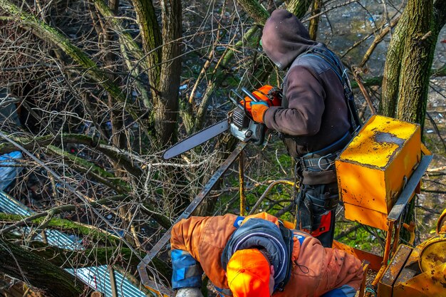 Photo municipal service workers stand with a chainsaw in a crane basket and trim dangerous trees