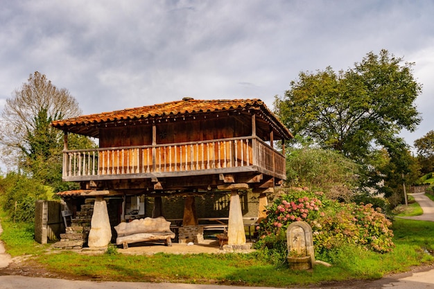 Muniellos comprehensive natural reserve in asturias