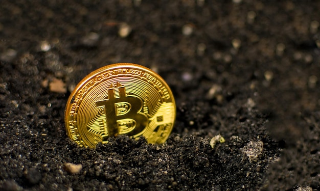 Munt bitcoin in de grond Het concept van bitcoin groei