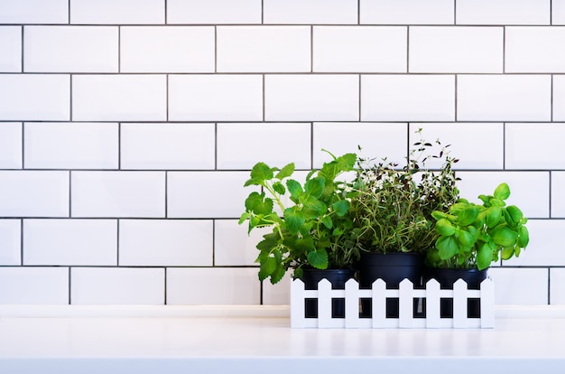 Munt, tijm, basilicum, peterselie - aromatische keukenkruiden in houten kist op keukentafel, baksteentegel.