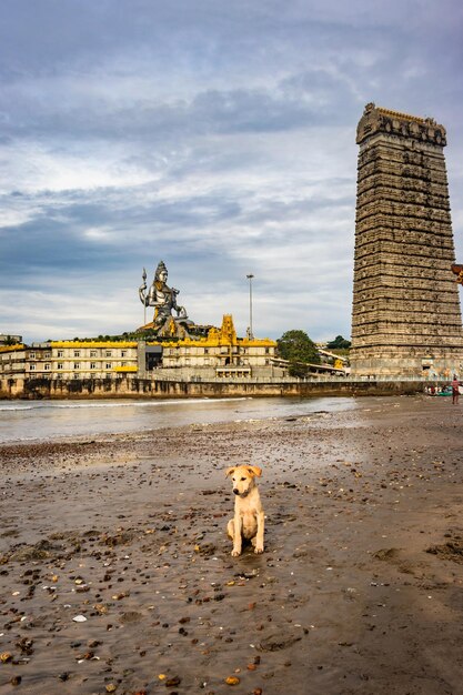 Photo murdeshwar temple early morning view from unique angle