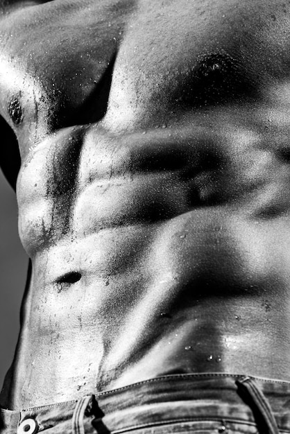 사진 회색 고립 된 배경 이상적인 몸에 청바지에 근육 강한 남자 남자