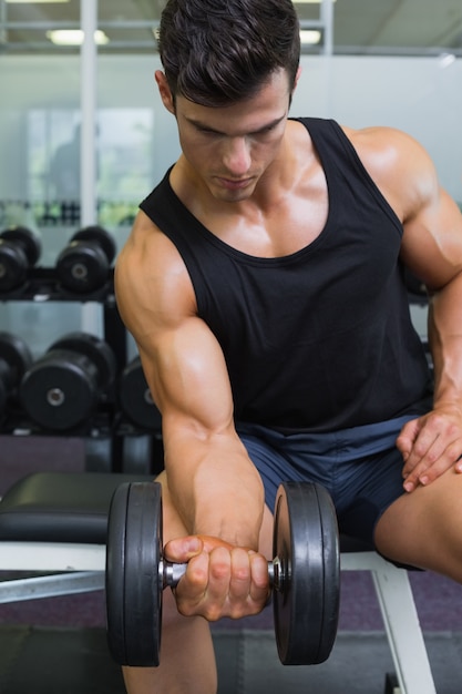 Muscular man exercising with dumbbell in gym