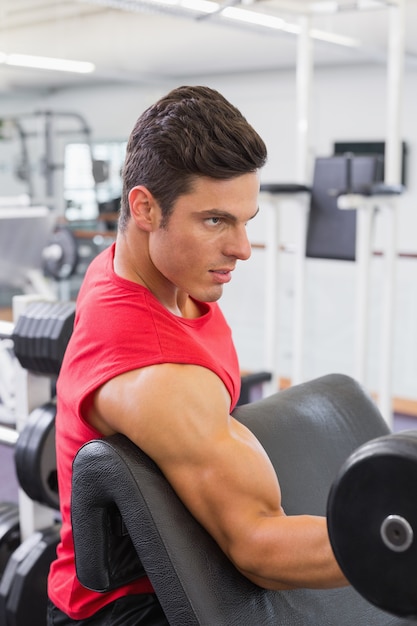 Muscular man exercising with dumbbell in gym