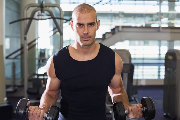 Muscular man exercising with dumbbells in gym