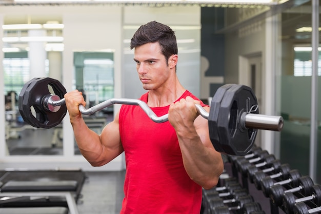 Muscular man lifting barbell in gym