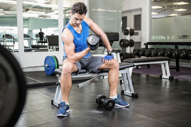 Muscular man lifting dumbbell while sitting on bench at the gym