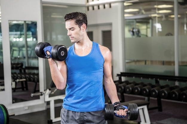 Muscular man lifting dumbbells at the gym