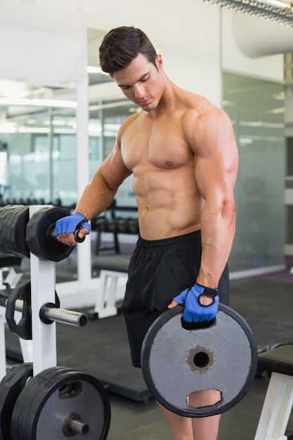 Muscular man lifting weight in gym