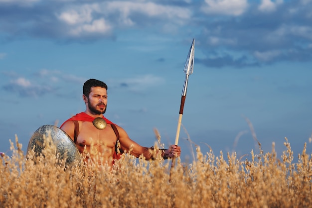 Muscular medieval warrior standing in the field