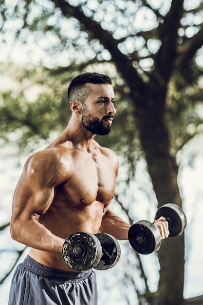 Muscular young man with naked torso doing biceps exercises with\
dumbbells in the nature.