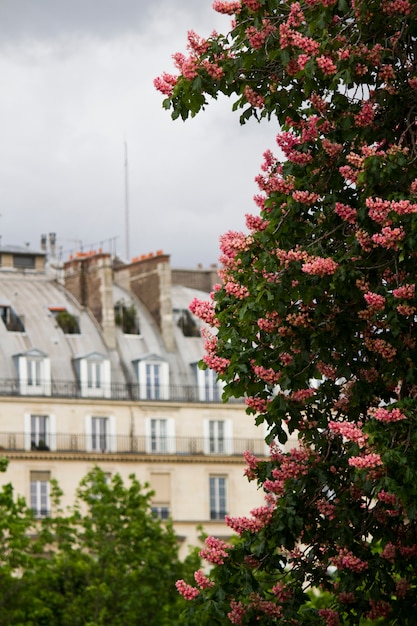 フランス、パリのルーブル美術館