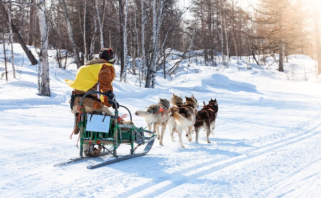 Photo musher hiding behind sleigh