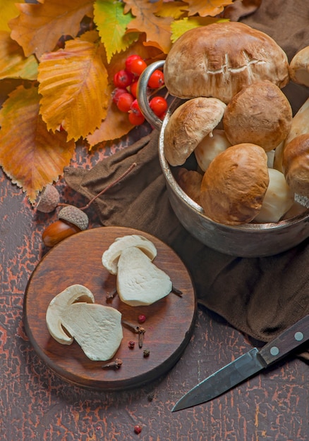 Mushroom Boletus edulis over Wooden Background