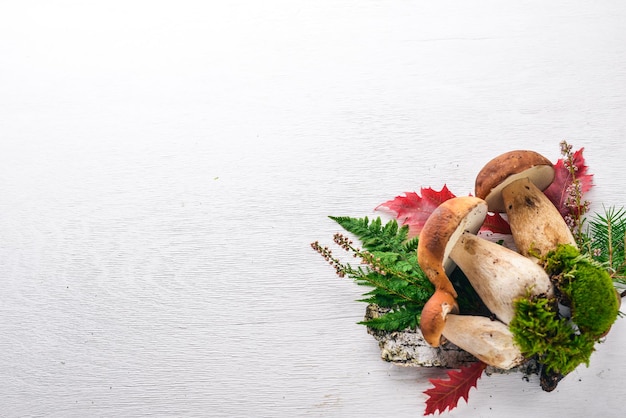 Mushroom Boletus Forest mushrooms on a white wooden background Top view Free space for text