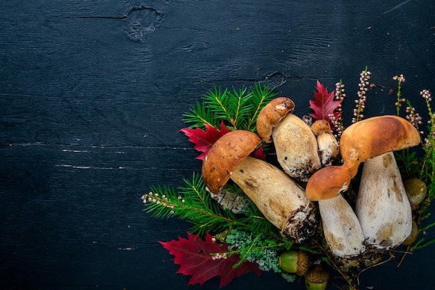 버섯 Boletus 검은 나무 배경에 신선한 숲 버섯 상위 뷰 텍스트를 위한 여유 공간