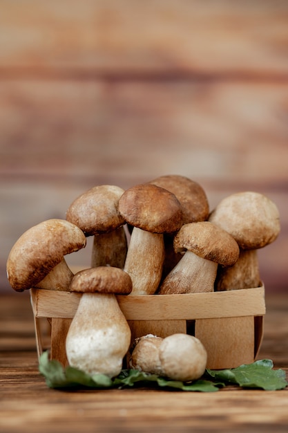 Mushroom Boletus over houten