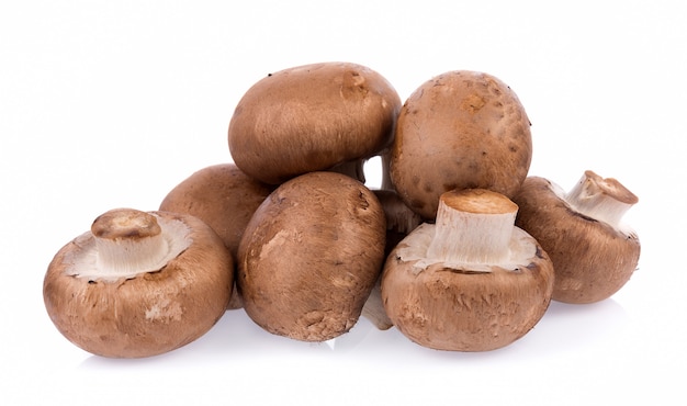 Mushroom champignon isolated on white background