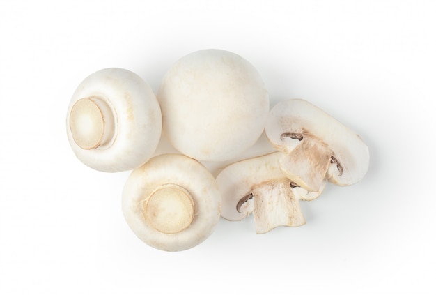 Mushroom champignon isolated