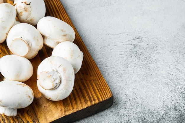 Mushroom champignon set, on gray stone table