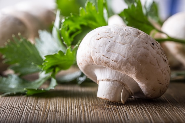 Mushroom. Champions  mushrooms in different positions with herb decoration.