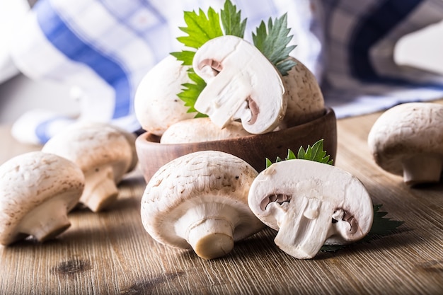Mushroom. Champions  mushrooms in different positions with herb decoration.