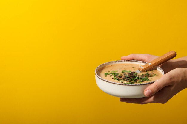Mushroom cream soup concept of tasty and delicious food