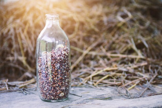 写真 きのこ栽培きのこを育てるボトル入り。