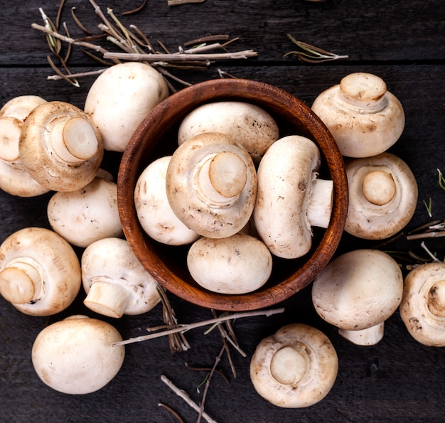 Mushroom heap on dark wood surface