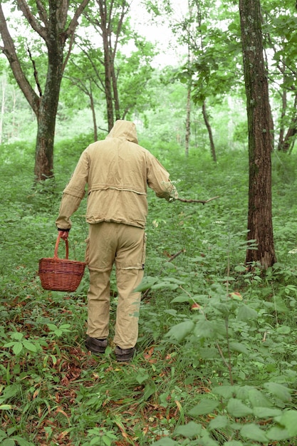 A mushroom picker collects mushrooms in the forest