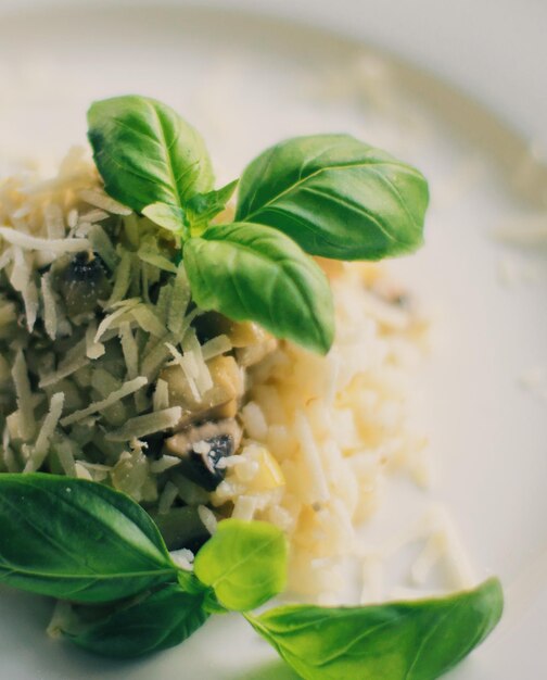 Mushroom risotto recipe