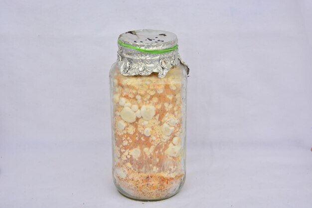 Mushroom spores in a jar