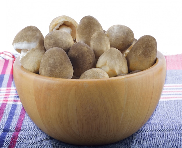 Mushroom, straw  on white background