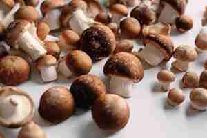 Photo mushroom on white background