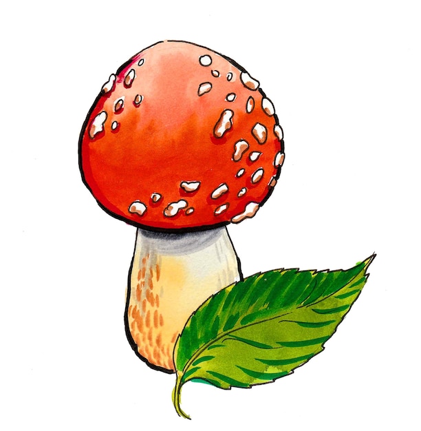 A mushroom with a green leaf