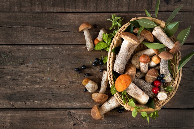 Funghi porcini su fondo di legno rustico per il design