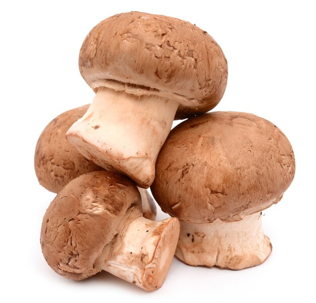 Mushrooms close up detail isolated