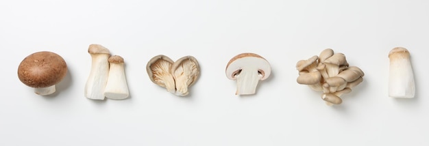Mushrooms concept of autumn food autumn harvest