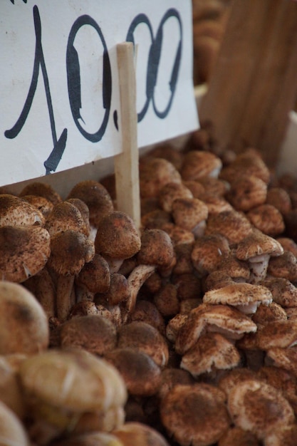 Foto funghi al mercato in vendita