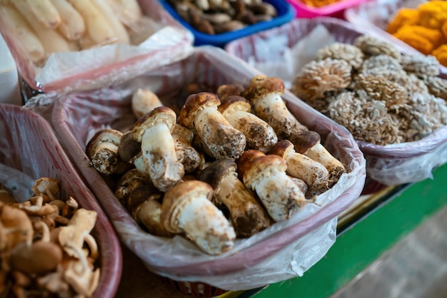 Mushrooms matsutake in the farmer's market in Yunnan China