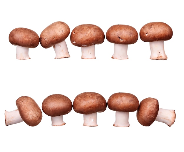 Mushrooms and raw mushrooms isolated on white background